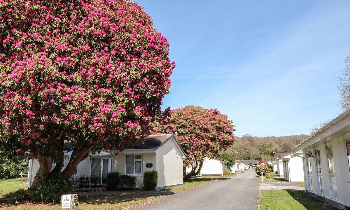 Liskeard Cottage | 3 Rosecraddoc Lodge