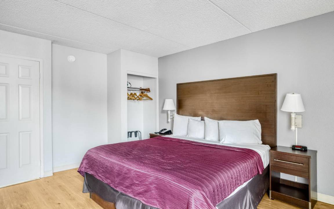 Burlington Hotel | 33 m² Hotel ∙ 127 guests