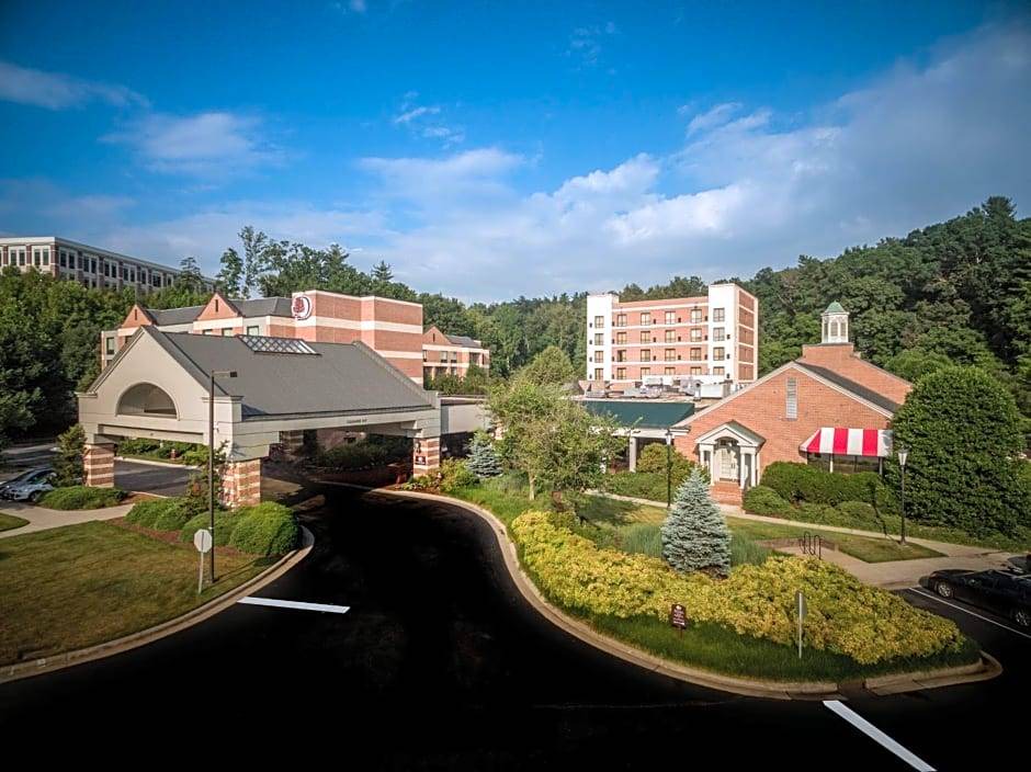 Asheville Hotel | 4-Star Hotel ∙ DoubleTree by Hilton Biltmore/Asheville