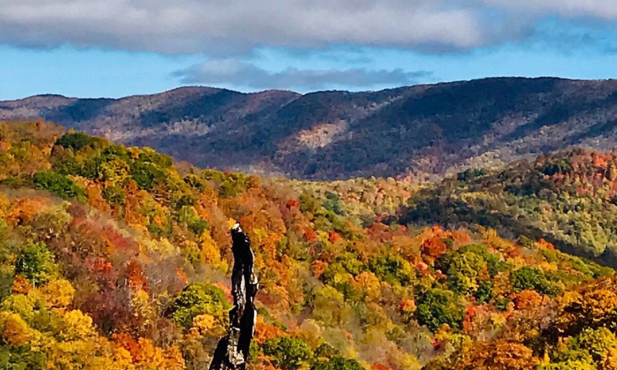 Creston House | 58 Acre home in the middle of 23,00 acre State Park