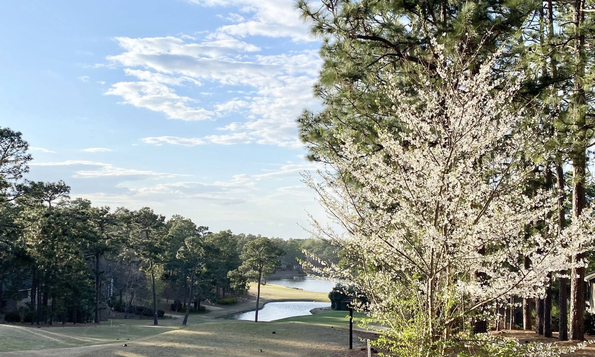 Pinehurst House | A Golf Front, 3 BR, 2BA, 4beds, Sleep 6 on Pinehurst #6