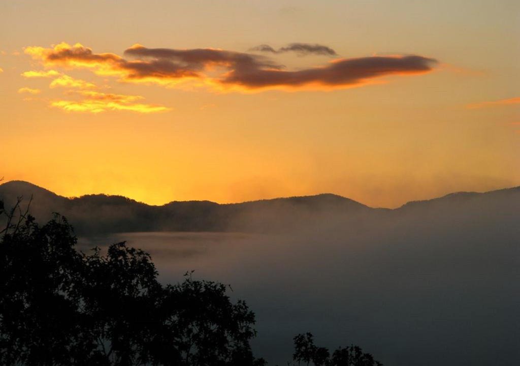 Franklin House | A Little Slice of Smokey Mountain Heaven with Wifi