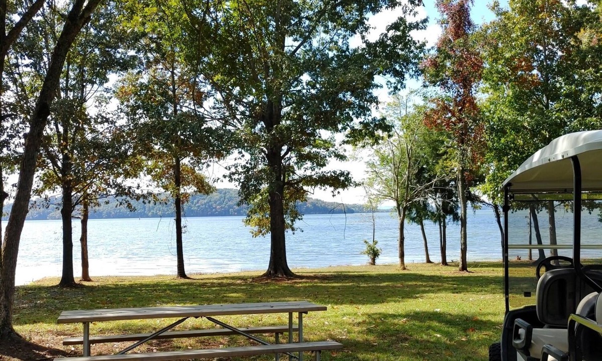 Guntersville Apartment | Adorable Tiny House Cabin- Lake Guntersville