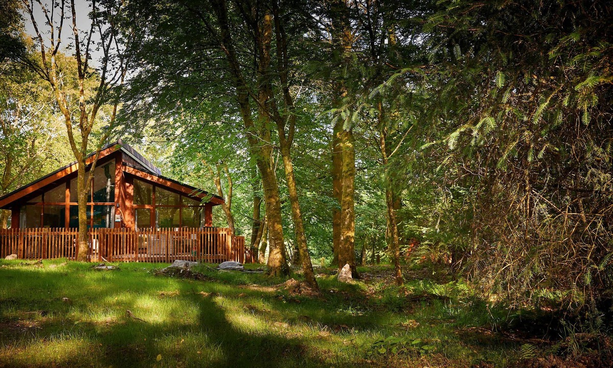 Beddgelert Cabin | Beddgelert Golden Oak - Fresh Design, Beddgelert