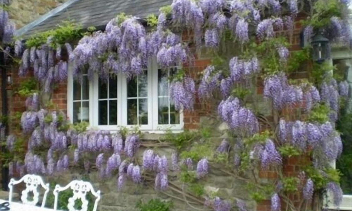 Potterne Bed & Breakfast | Blounts Court Farm