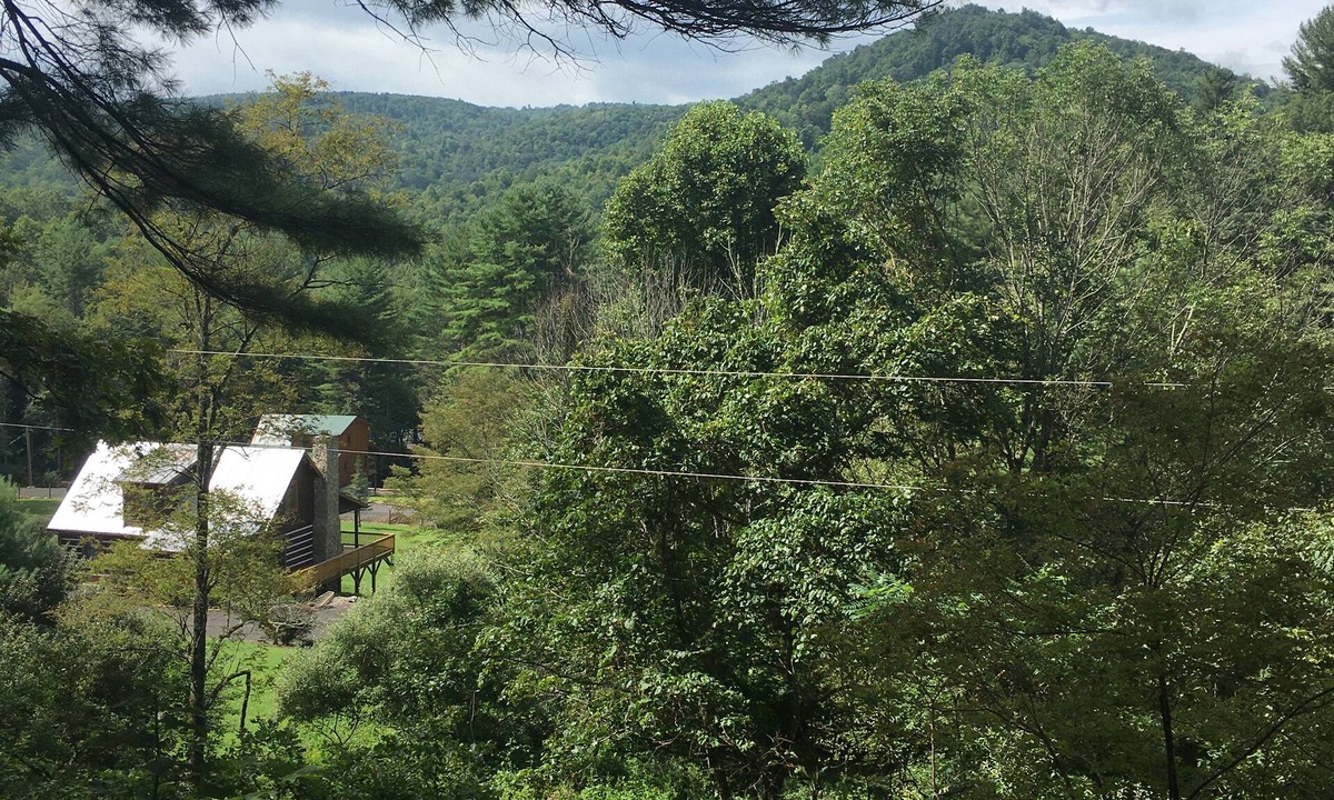 Fleetwood Cabin | Blue Ridge Getaway-Relax on the Front Porch-Wildlife Galore!