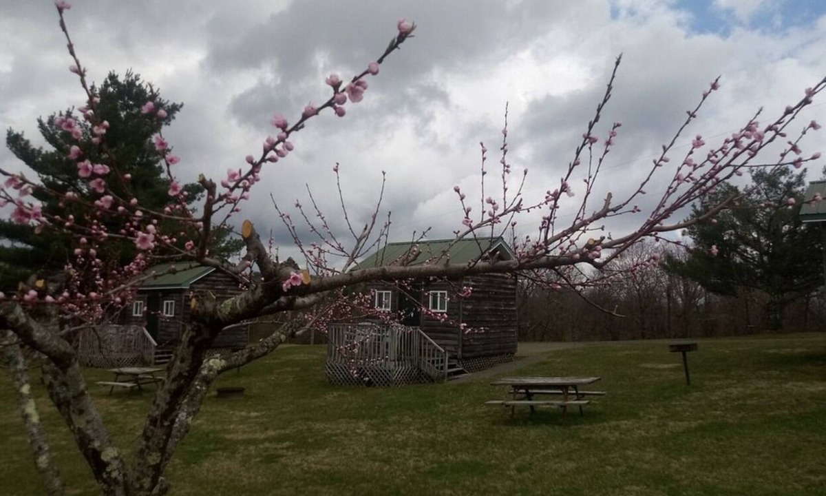 Fancy Gap RV Rental | Bunk Bed, Queen Bed Camping Cabin with nearby Bath House