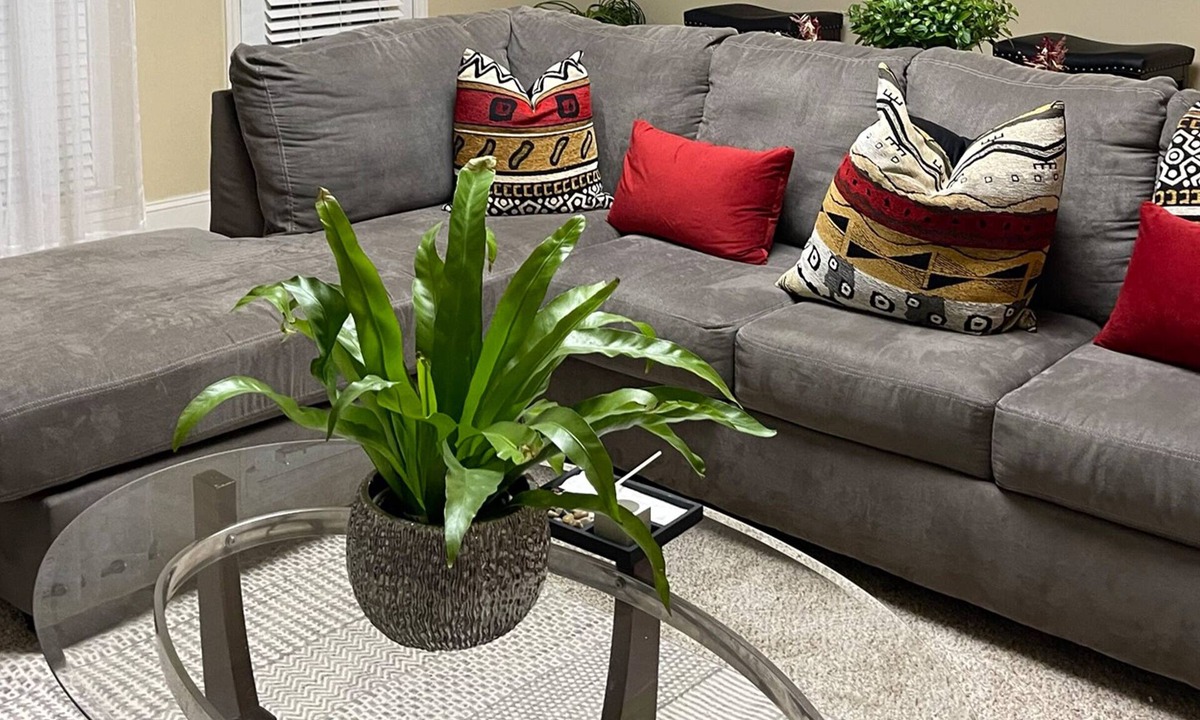 Jamestown House | Cazenitah: The Ideal Getaway, Corporate 3BR in Prime Location and Neighborhood
