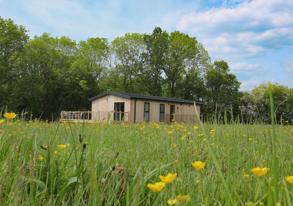 Billingsley Cabin | Cedar Lodge, BILLINGSLEY
