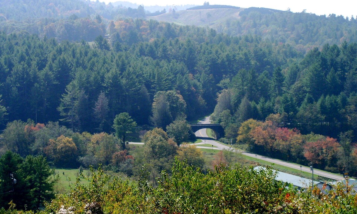 Laurel Springs House | Charming 3-bedroom home in Laurel Springs with view over the Blue Ridge Parkway