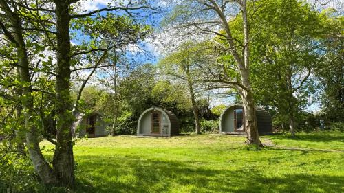 Bexhill-on-Sea Other | Chestnut Meadow Camping & Glamping