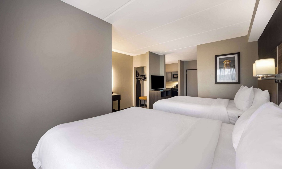 Paw Creek Hotel | Comfort Suites Northlake