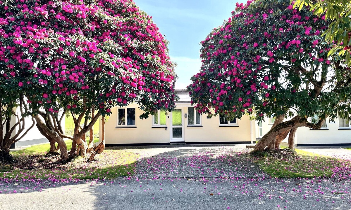 Liskeard Cabin | Cornish countryside lodge in quiet cul de sac