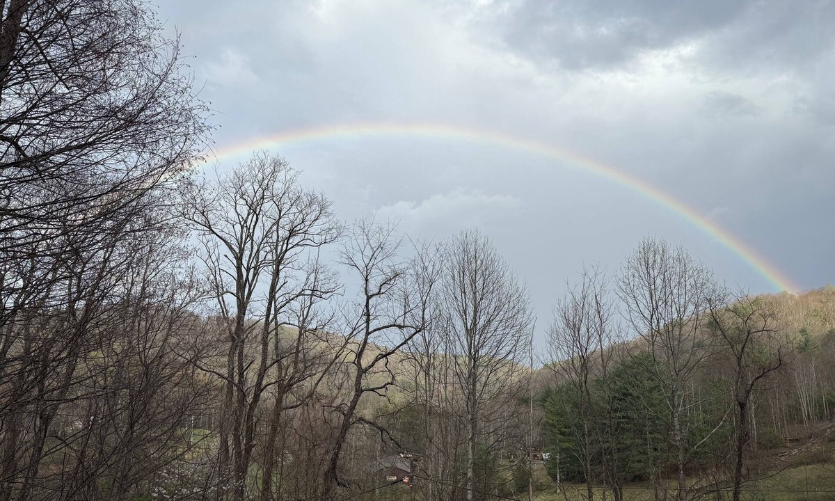 Apple Ridge Cabin | Cozy 3-bedroom cabin with AC, WiFi near Blowing Rock