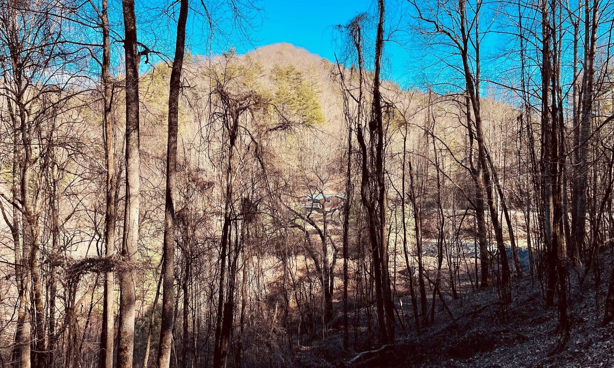Robbinsville House | Cozy Cabin With Incredible Views - Hikers/Bikers/Anglers/Hunters Welcome