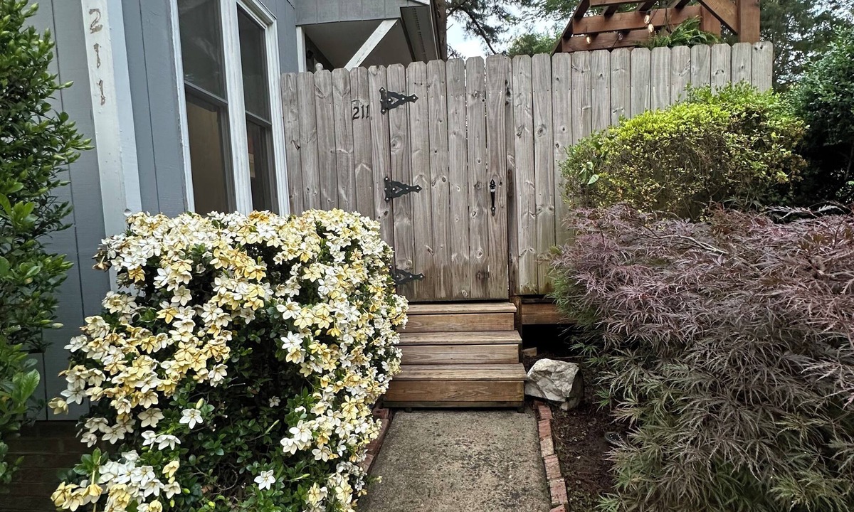 Cary Condo | Cozy greenway condo!