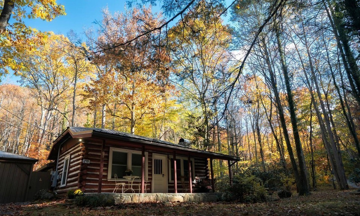 Weaverville Cabin | Cozy Rustic Cabin Nestled in the Scenic Reems Creek Valley for a Peaceful Mountain Escape Surrounded by Nature near the Pisgah National Forest in NC