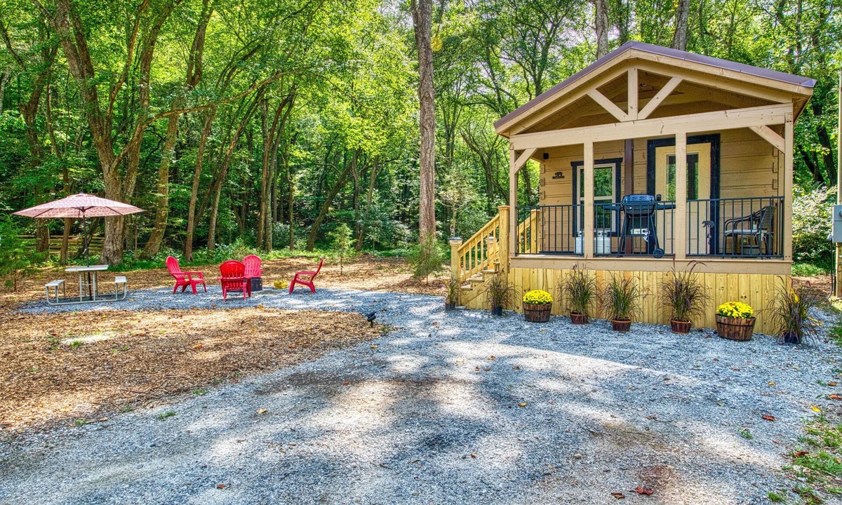 Otto Cabin | Dog-friendly riverfront cabin with mtn & river views, firepit, grill, patio, W/D
