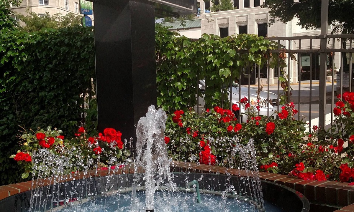 Downtown Asheville Hotel | Downtown Inn and Suites