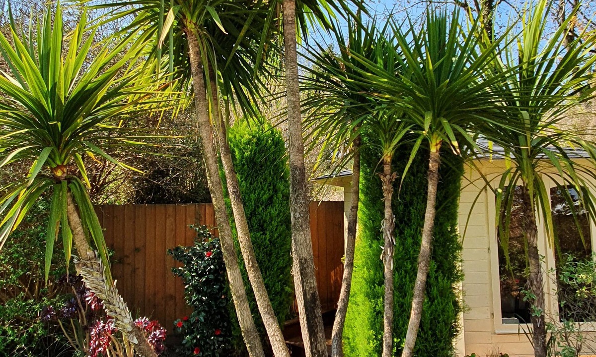 Bugle Bed & Breakfast | Eden's Rest