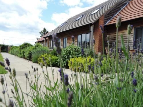 Yardley Gobion Cabin | Elm Tree Farm Accommodation