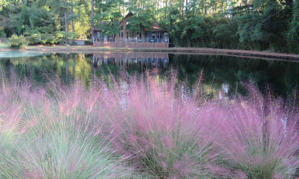 Burlington House | Extended Stay Contemporary Secluded Waterfront Lodge in Bamboo, Burlington NC,