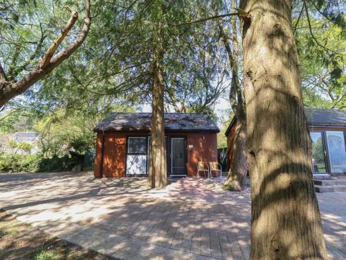 Swimbridge House | Fern