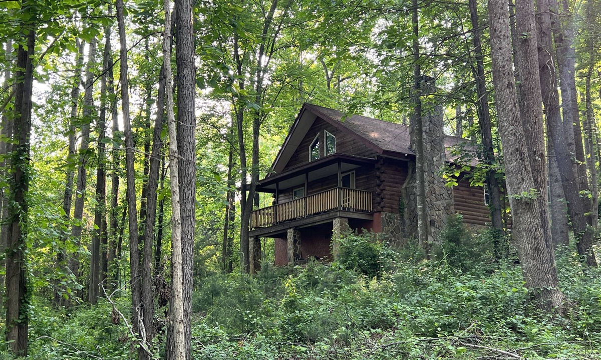 Traphill Cabin | Forest Cabin Moments from Stone Mountain