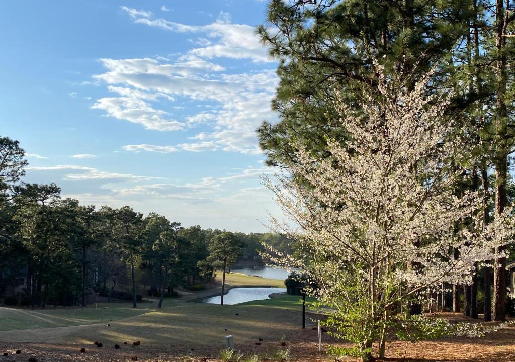 Pinehurst House | Golf Front SFH, 3 BR, 2 BA, 4 beds, sleep 6 on Pinehurst #6