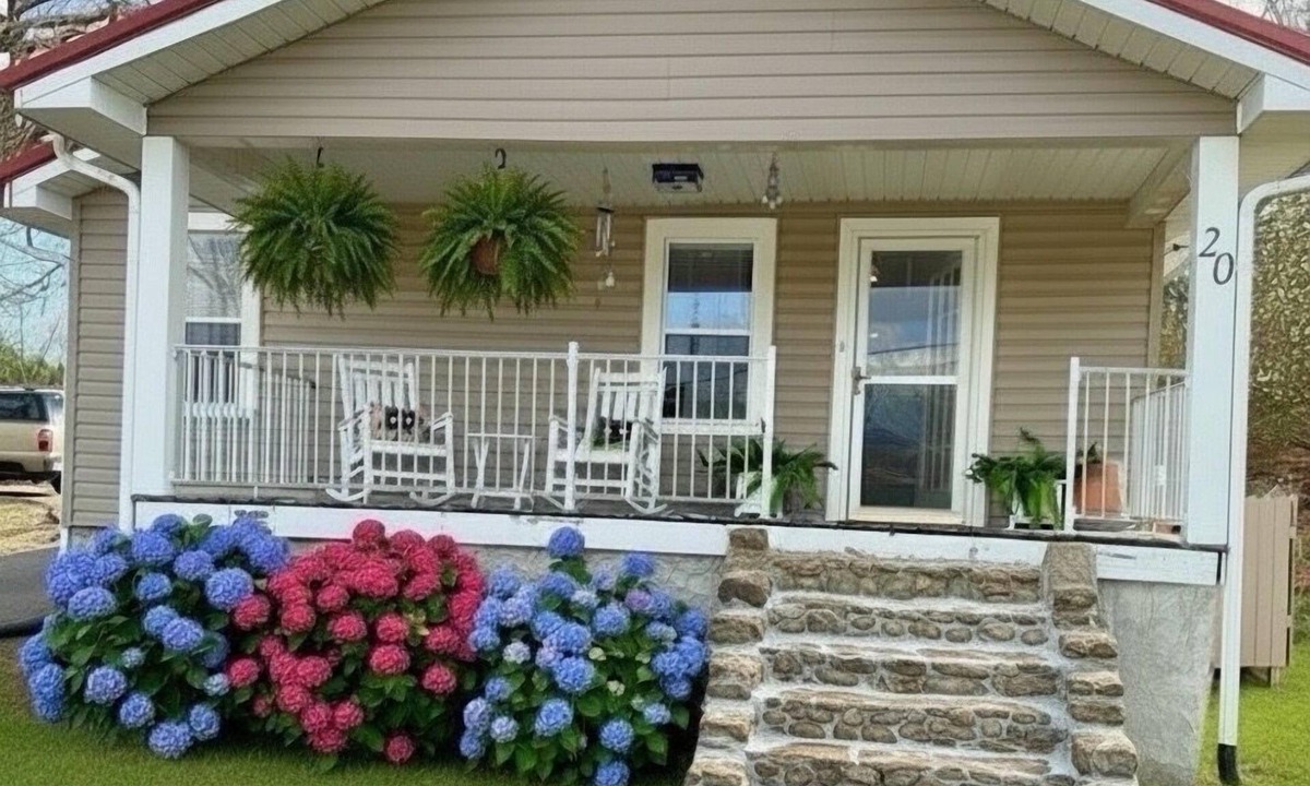 Woodfin Cottage | Guests Rave: Super Clean -Pet Lover’s Dream