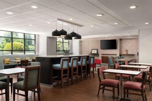 Hampton Inn Spring | Pine Forest