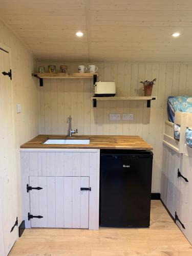 Singleton Other | Heated shepherds hut overlooking open countryside