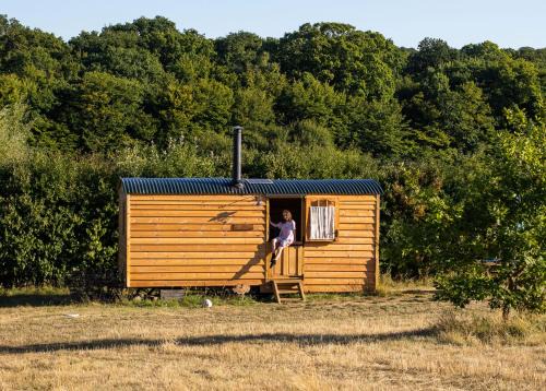Canterbury Other | Honeysuckle Shepherds Hut at Blean Bees Eco Glamping