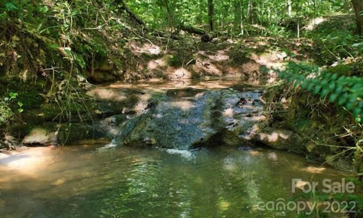 Clearwater Creek Cabin | Hot Tub! Creek! Moondance by Carolina Properties - Pet Friendly, Creek!