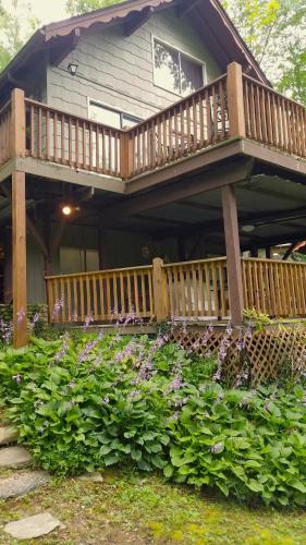 Almond House | Hummingbird Hideaway - Lake Pets Hike Fish