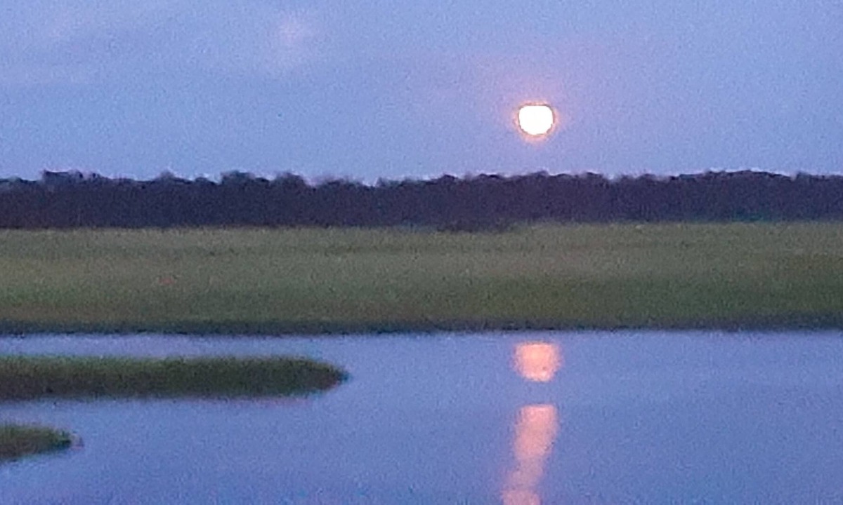 Bald Head Island Condo | Incomparable Timbercreek Marsh View plus Staircase to Loft Bedroom