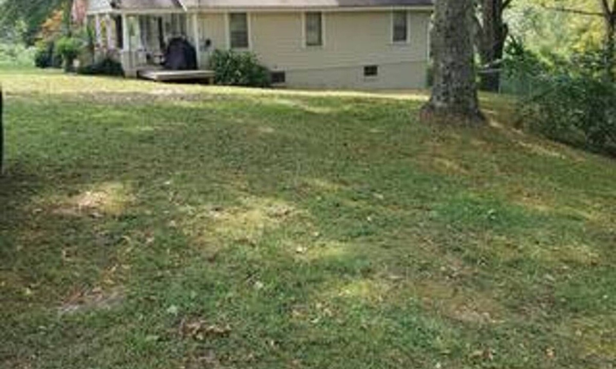 Mill Spring House | Lake Lure Mountain Bungalow - Pet Friendly. Cozy home with fenced in yard!