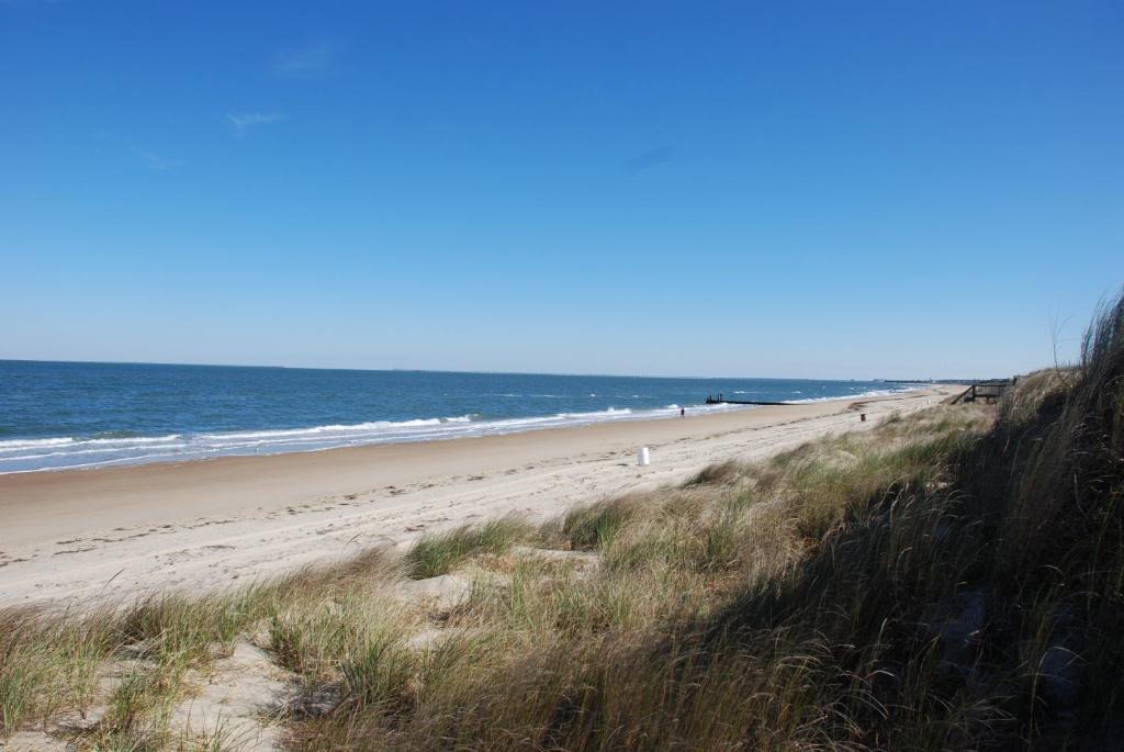 Norfolk House | Mermaids & Mutts bungalow
