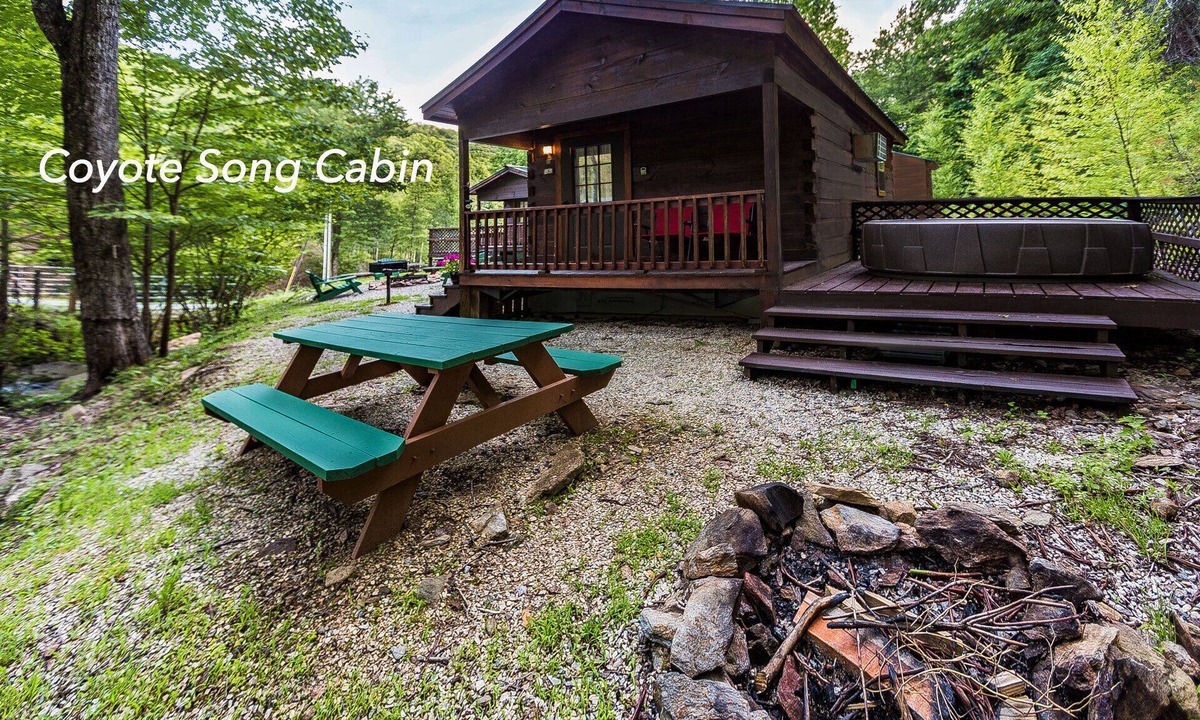 Topton Cabin | Mountain serenity close to hiking, rafting, fishing and kayaking. "Coyote Song"