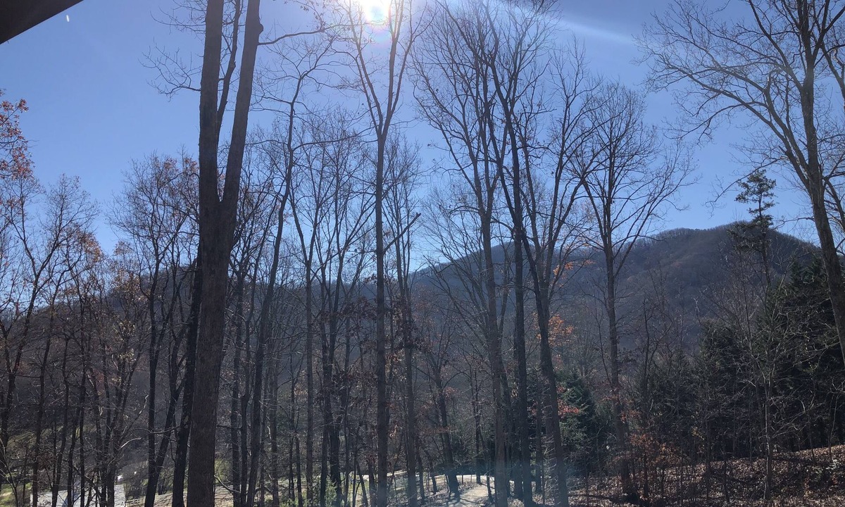 Hickory Haven Candler | Candler