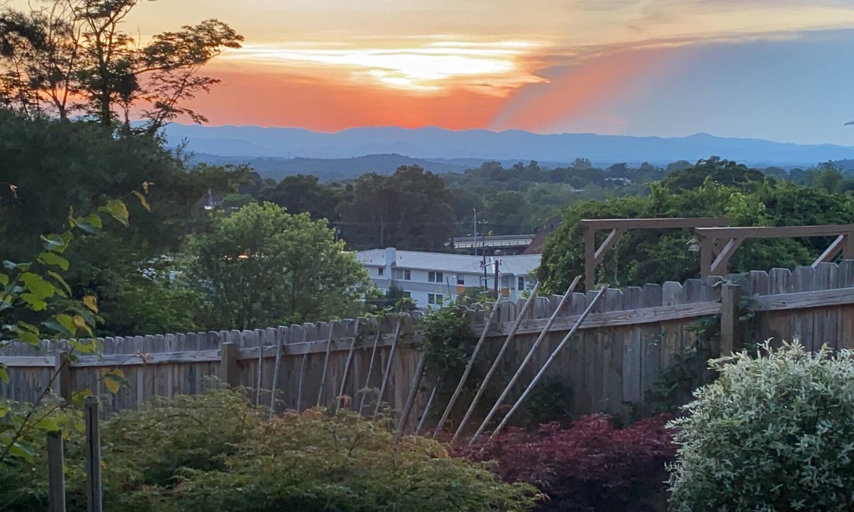 East End - Valley Street House | MTN VIEWS/1 Min to Downtown Asheville/Peaceful