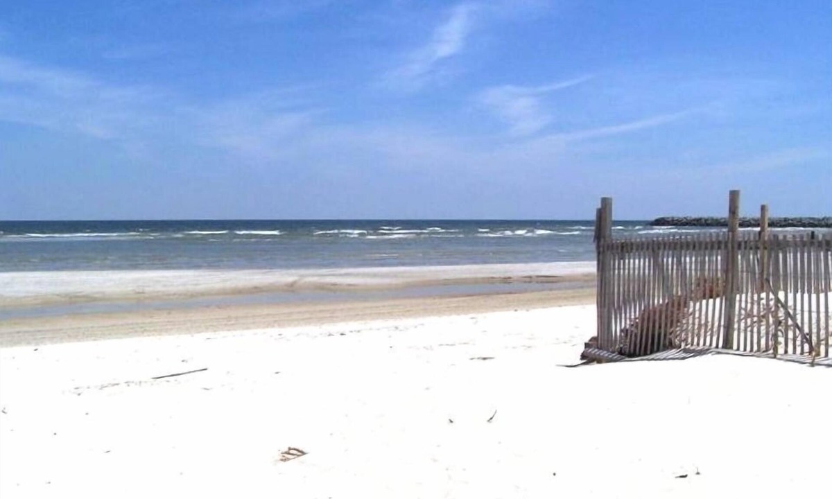 Cedar Island House | Natural High-Amazing Beach Getaway-Privacy, Easy Access, Kayaking, Boating