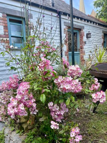Charlestown House | Neptunes Rest
