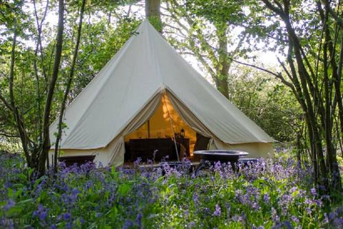 Pentrefelin Other | Oak Tree Farm