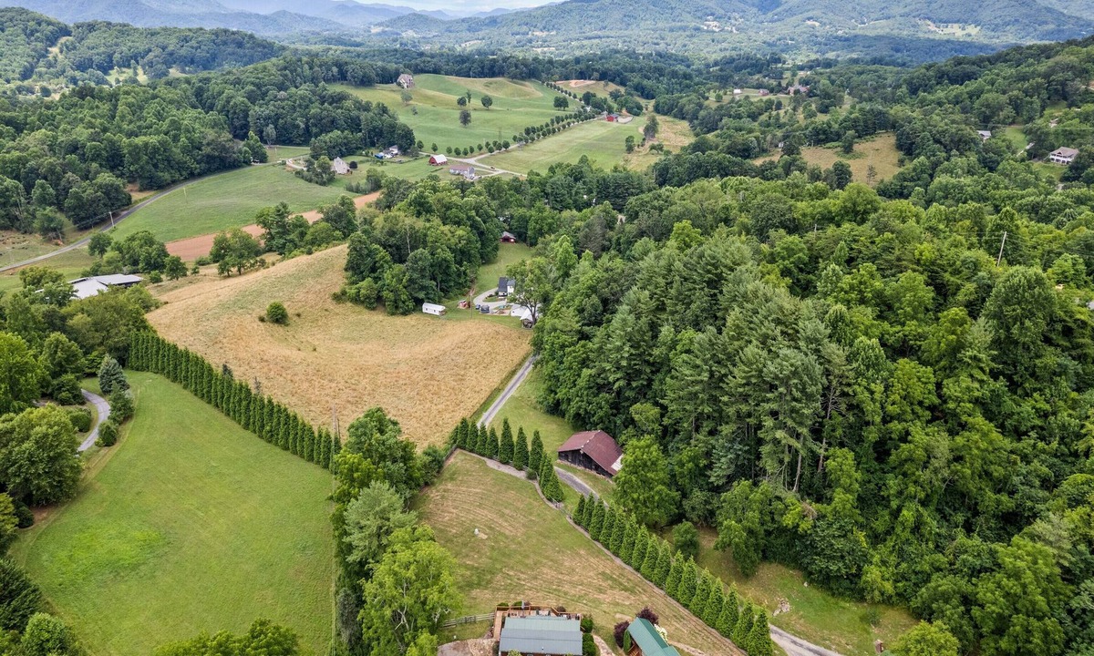 Asheville Cabin | One Bedroom Cabin 43 Acre Retreat Pets OK-Fenced, Private, Views, Internet