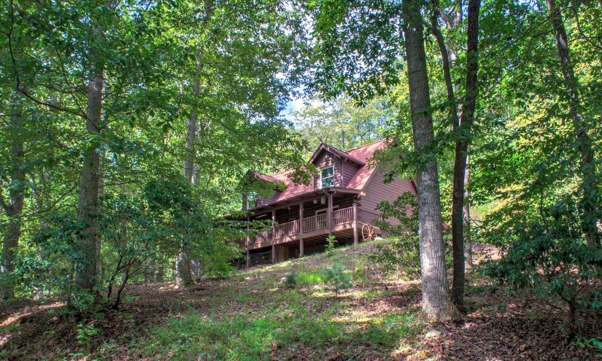 Arden Cabin | Pisgah Pines | Cozy Log Cabin w/Hot Tub & Fire Pit Near Asheville Airport