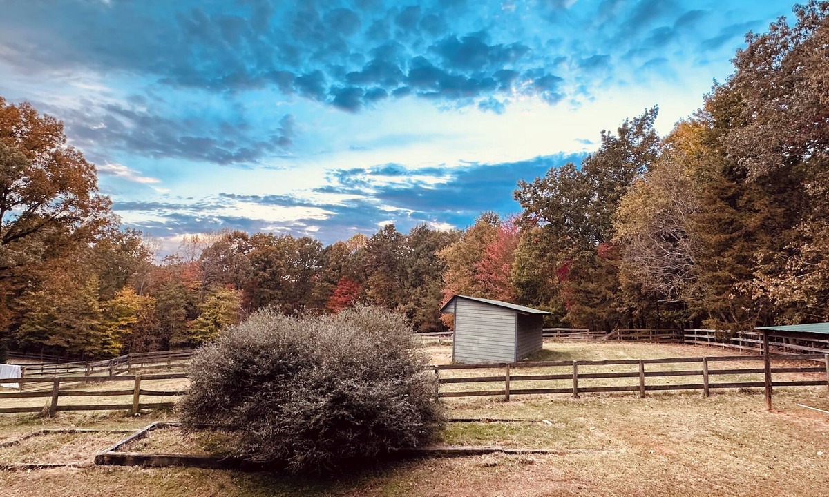 Columbus House | Private Guest House in the Woods situated on 27 acres.
