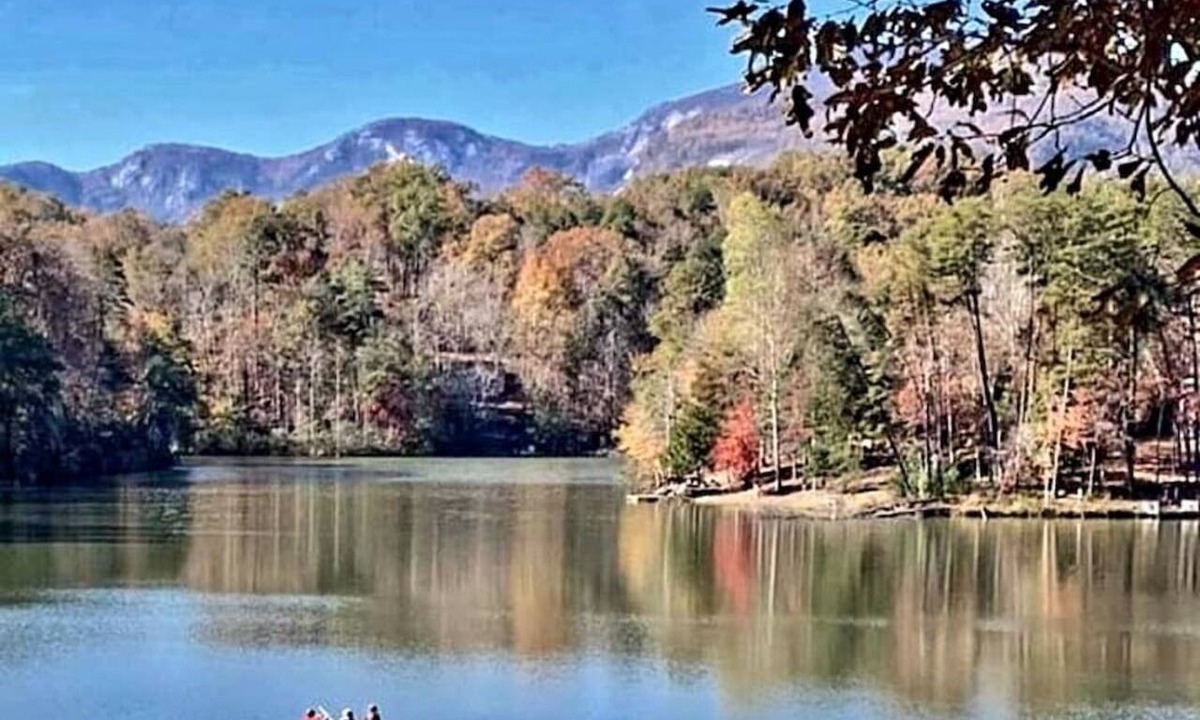 Lake Lure Cabin | Private log home beach/lakes/river/Canoe/pet