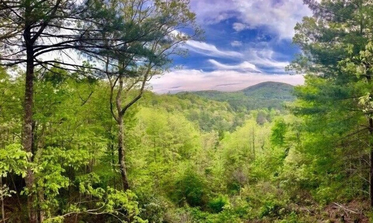 Highlands House | Pumpkin Hill on Little Bear Pen- three levels with a view!