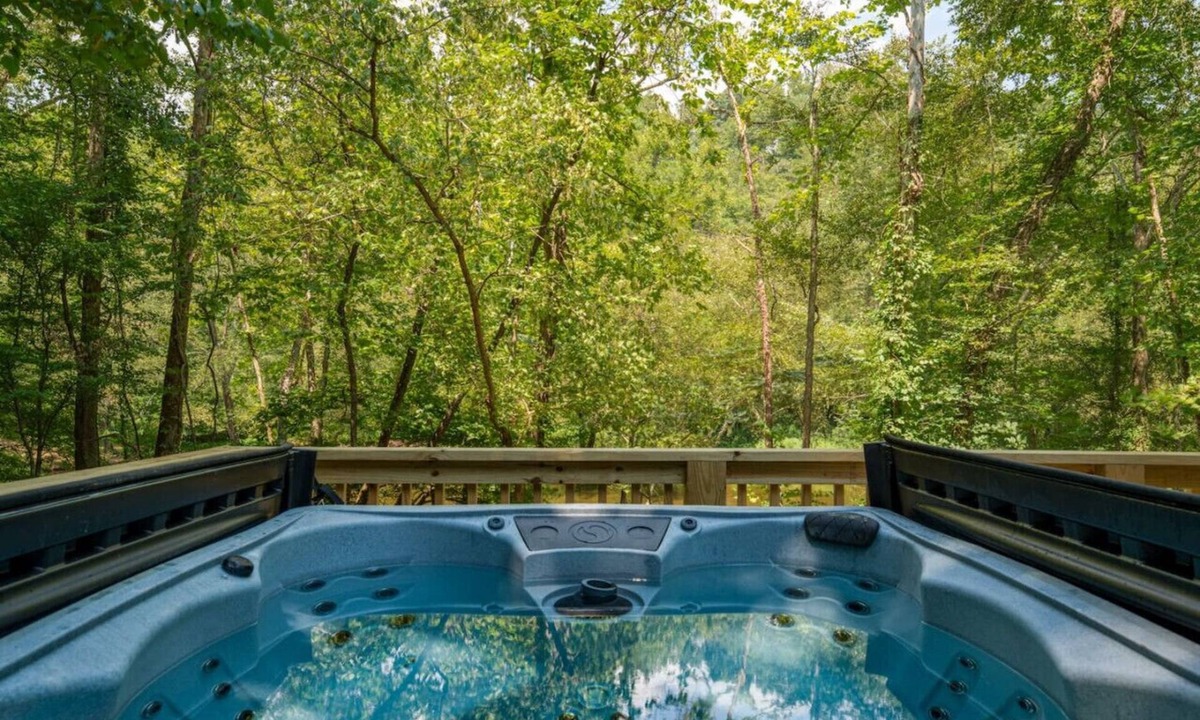 Lake Lure Cabin | Red Bird Retreat on the Broad River